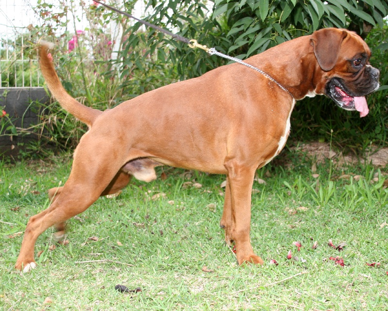 Vin diesel De la petite bicounosse